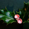 Tiny Copper Cup studs