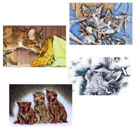  Pack of 4 Mixed Cats & Kitten Cards.