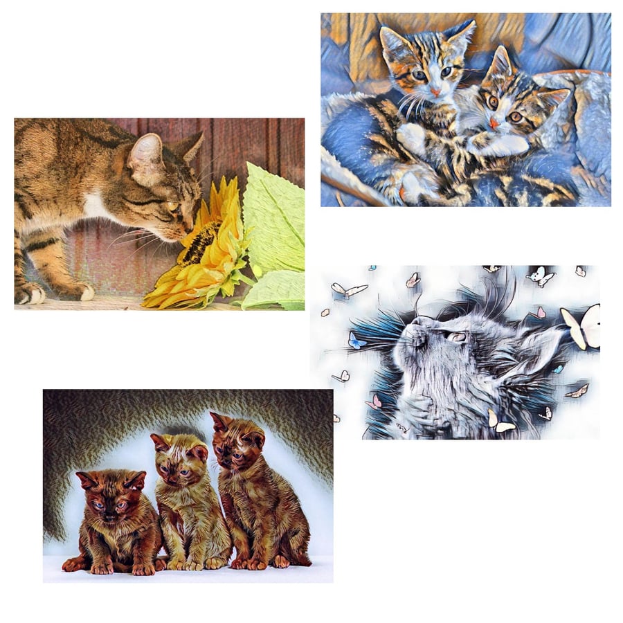  Pack of 4 Mixed Cats & Kitten Cards.