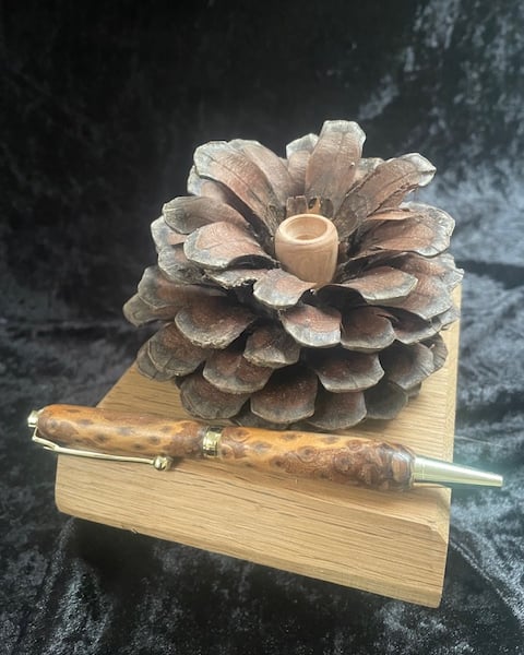 Ball pen and stand