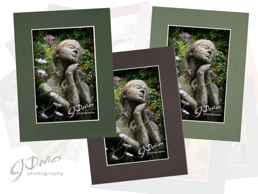 CJ201 - Garden dreaming