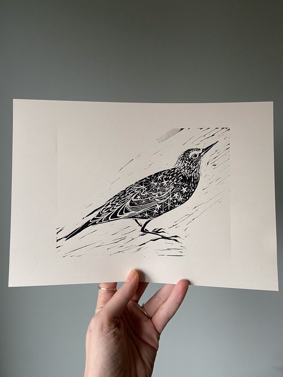 Starling Linocut Art Print