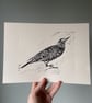 Starling Linocut Art Print - Image 1