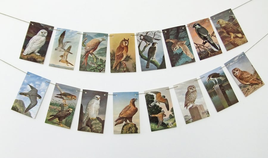 Paper Bunting upcycled from Birds of Prey, vintage Ladybird Book