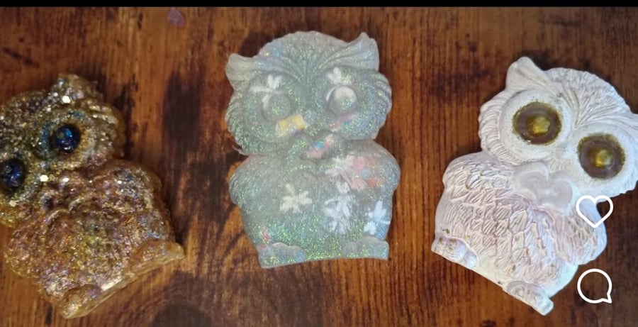Owls ornament and framed picture collection 