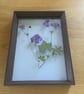 Pressed Blue Geranium Botanical Art in a Glass & wood floating frame - Image 3