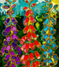 Foxgloves