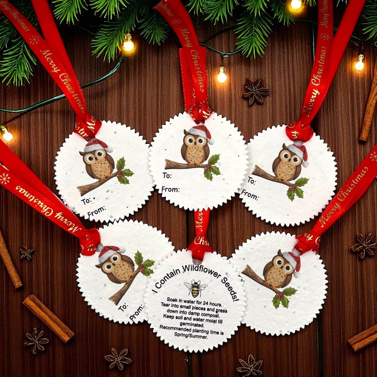Set of Six Festive Owl Gift Tags on Plantable Wildflower Seeded Paper