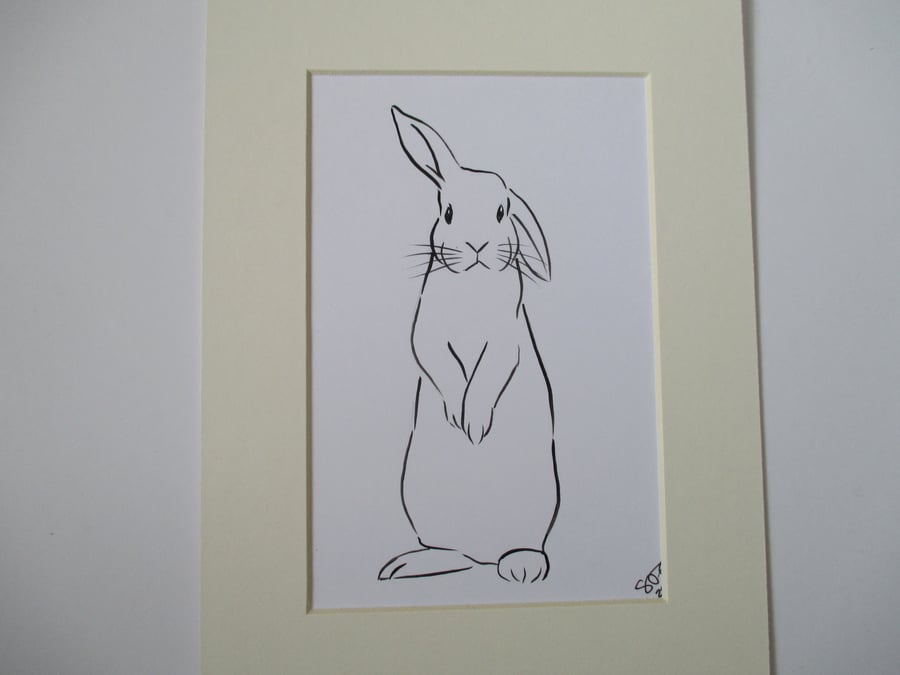 Bunny Rabbit Original Art Line Painting Mounted Picture