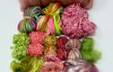 Wool Fibre Kits