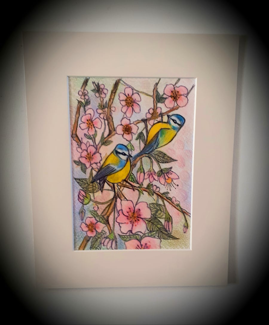 Springtime . ..featuring blue tits and cherry blossom. mounted coloured drawing 