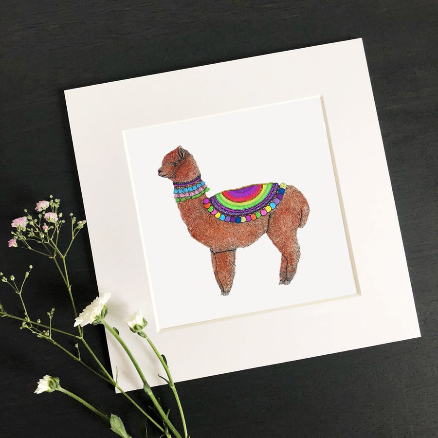 'Albie' 8" x 8" Mounted Print