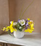 Daffodil, Hellebores and Iris in white round vase
