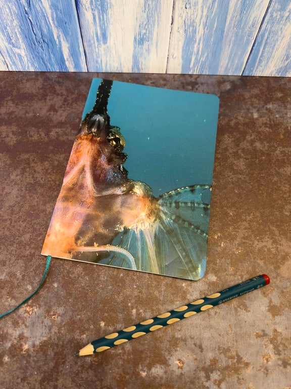 Notebook, Marine themed, A5 (ish), made from up-cycled and recycled materials.