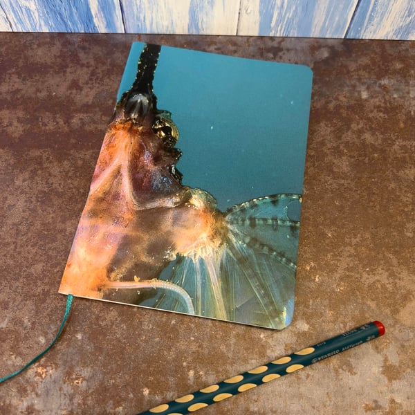 Notebook, Marine themed, A5 (ish), made from up-cycled and recycled materials.
