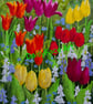 'A colourful crowd' greetings card