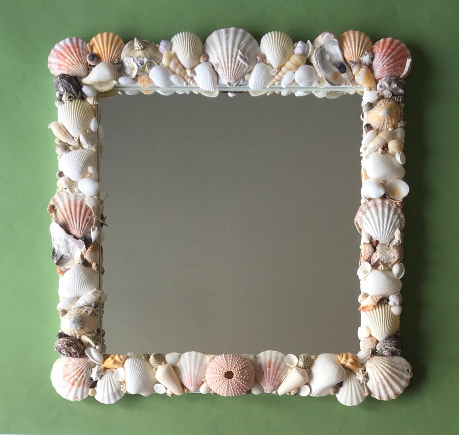 Sea Urchin Shell Mirror UK only