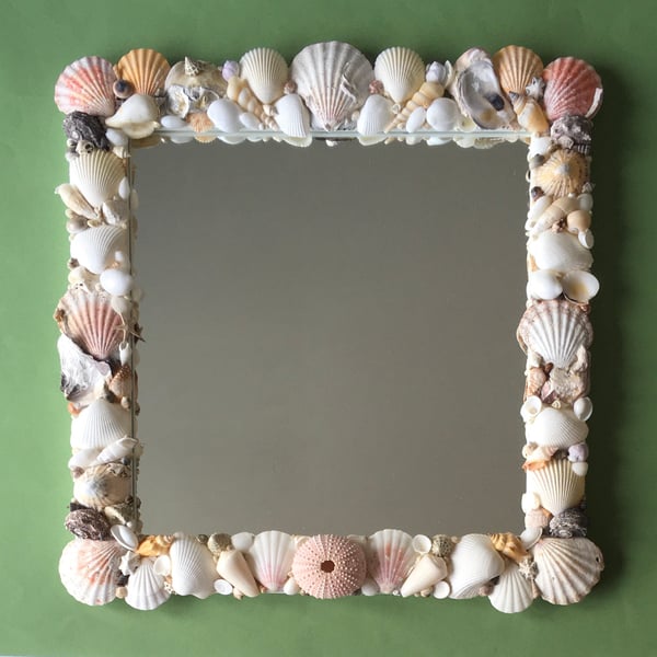 Sea Urchin Shell Mirror UK only