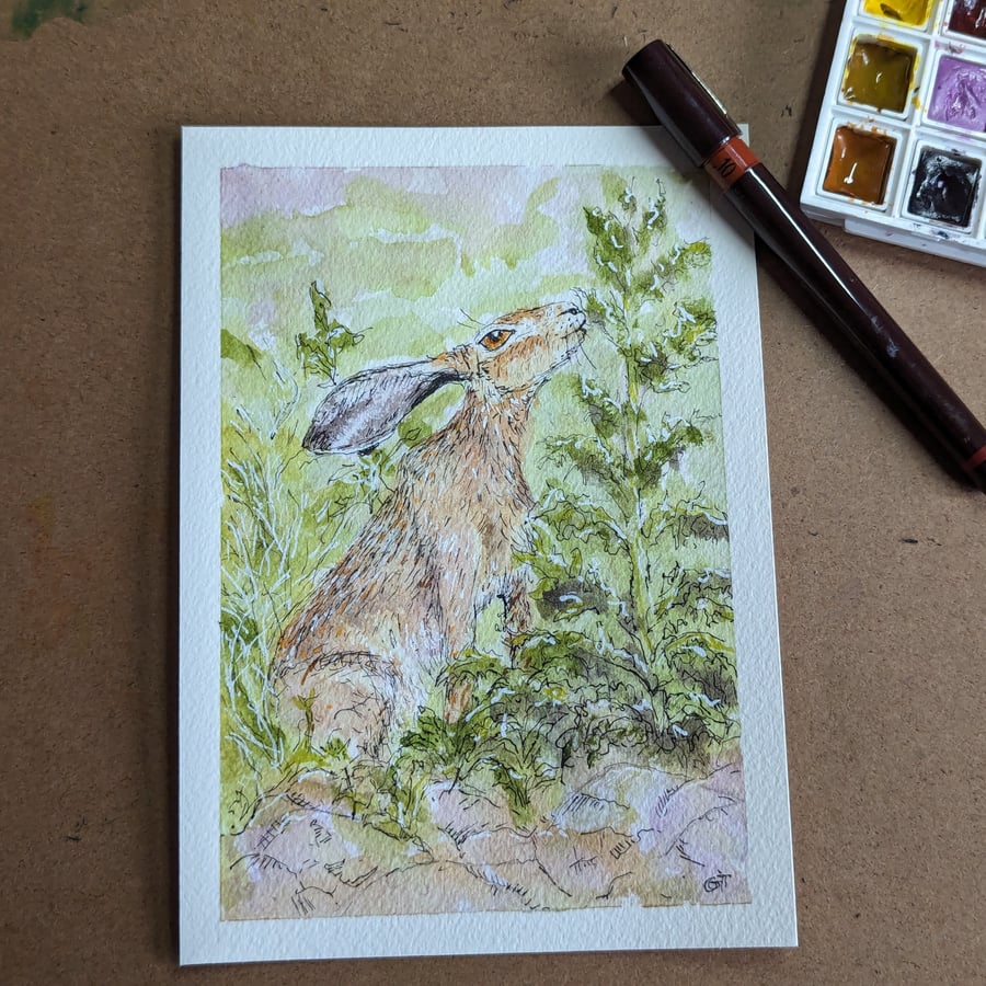 Original watercolour illustration, seated hare