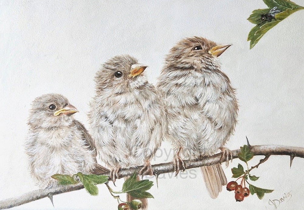 Dinner Queue,  Giclee Print
