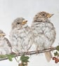 Sparrows fine art giclee print - Image 1