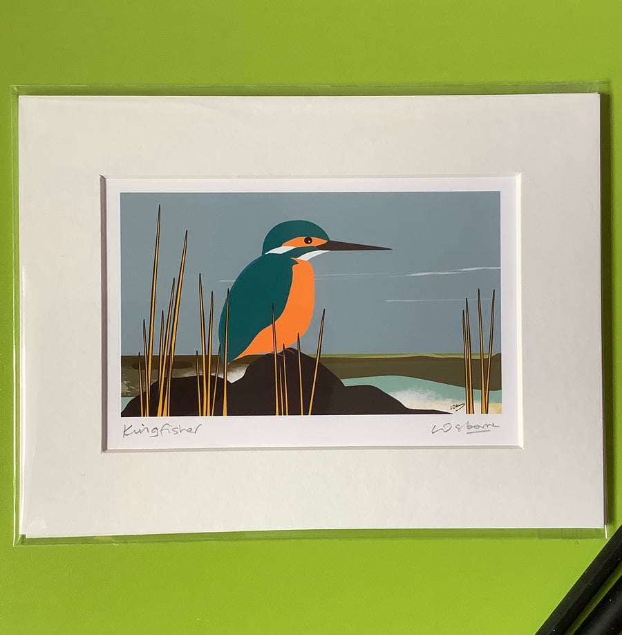 Kingfisher - signed mounted print of this colourful bird 