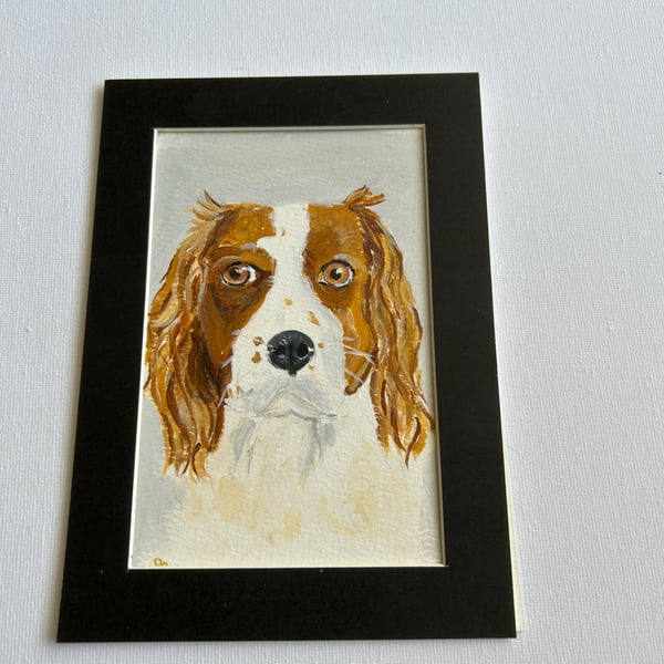 Original painting. Spaniel portrait 5x7" 