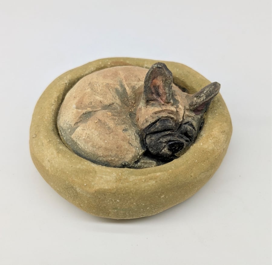 Yorkshire Pudding - French Bulldog