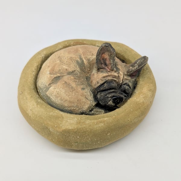 Yorkshire Pudding - French Bulldog