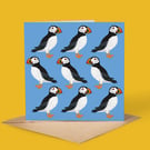 Puffin Greeting Card, Blank Card, Any Occasion, Puffin Bird Card