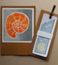 Orange Ammonite Card - Image 9