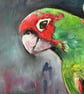 Parrot with Red Berries - Image 3