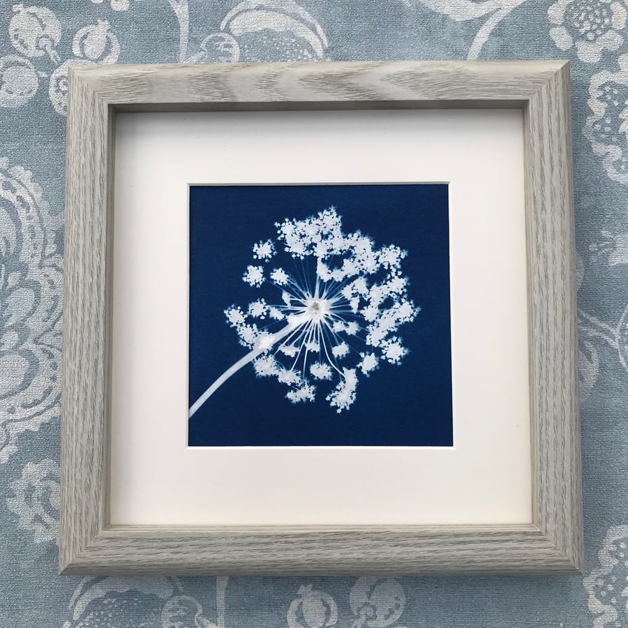 Framed Botanical Artwork, Gift for Plant lover, Wall art