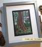 Trunk of a Wellingtonia Tree, Isle of Arran, Scotland.  Landscape art - Image 8