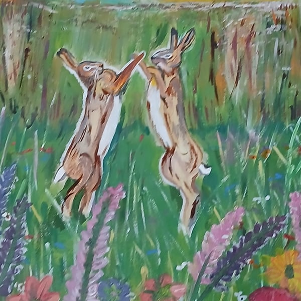 Boxing hares