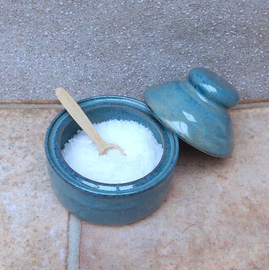 Covered salt pot lidded dish garlic wheelthrown stoneware pottery handthrown 