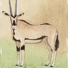 Oryx Original Watercolour Painting
