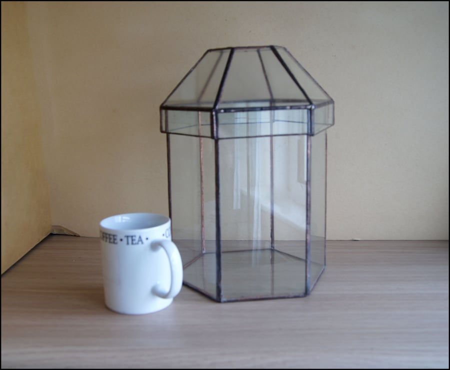 display glass terrarium for plants