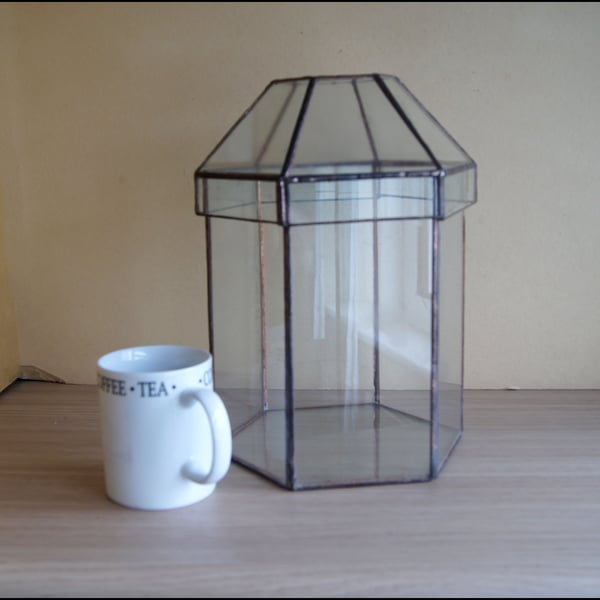 display glass terrarium for plants