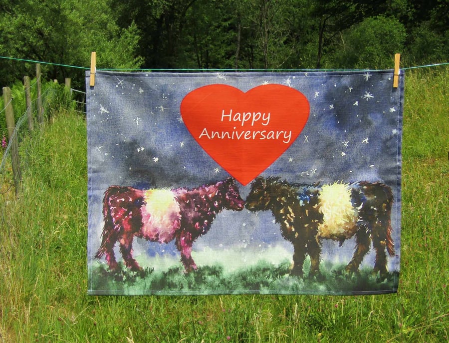 Belted Galloway Anniversary Tea Towel Gift.
