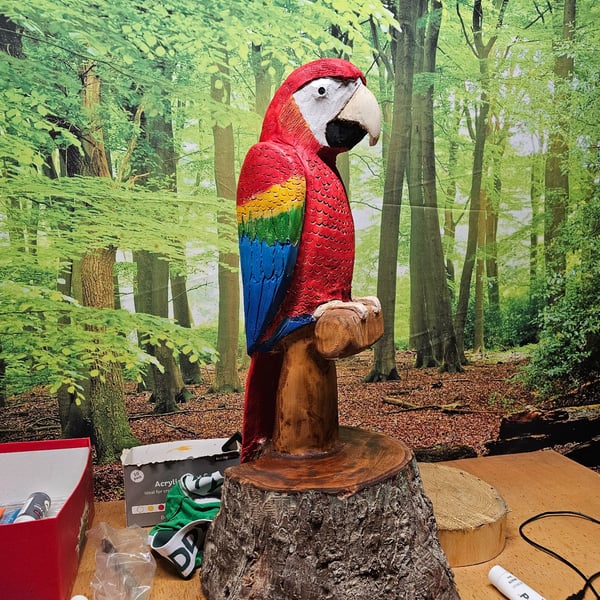 Hand Carved Wooden Parrot Sculpture - Large Tropical Bird - Handmade UK