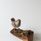 Eurasian Wren. Cocked head. Bird art. Life-size. Wool sculpture. Needlefelt.