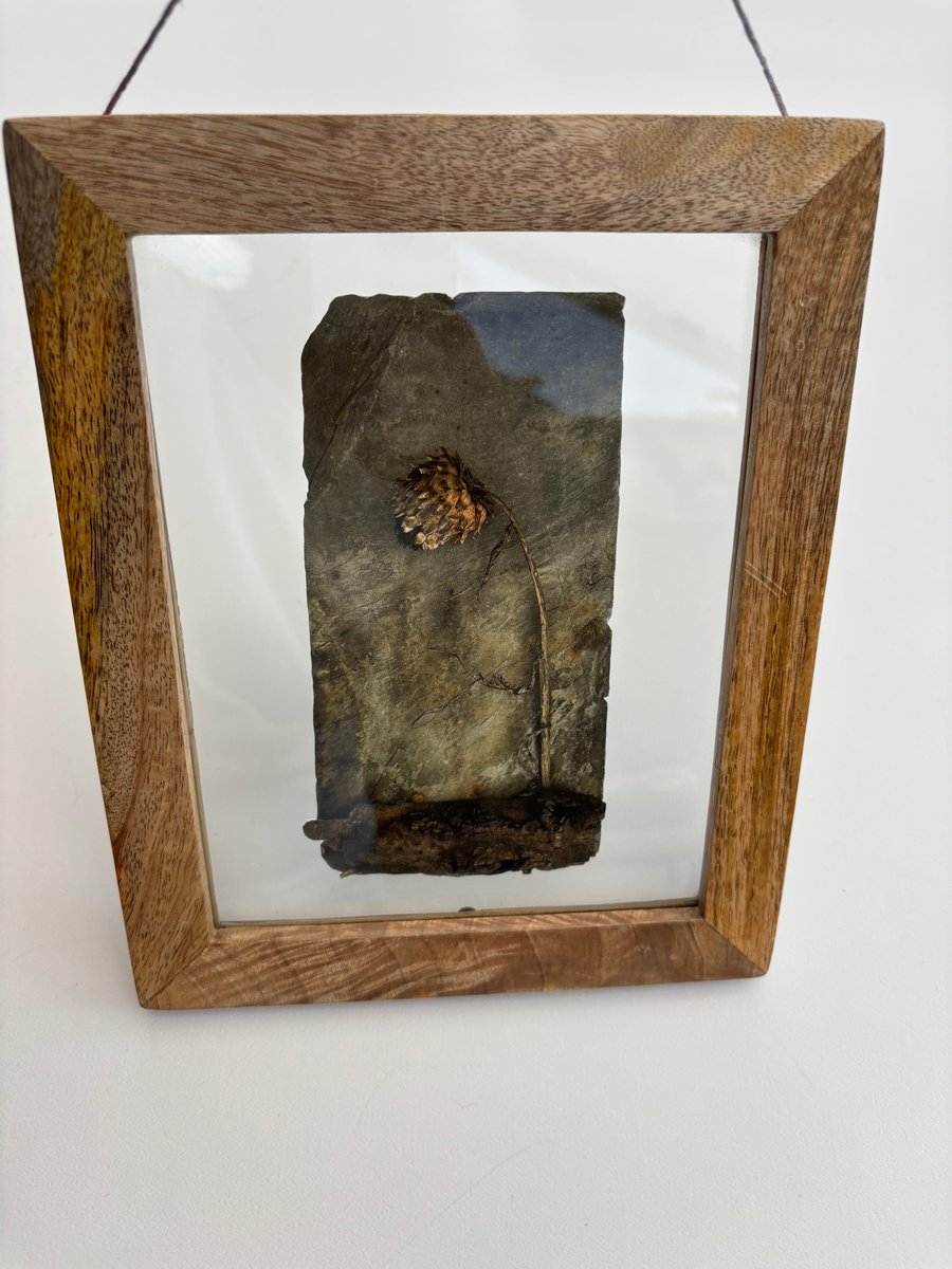 Framed Slate Art Print 20.4cms x 25cms 