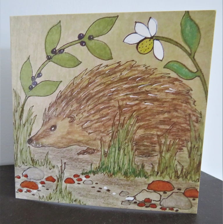 Hedgehog greetings card .