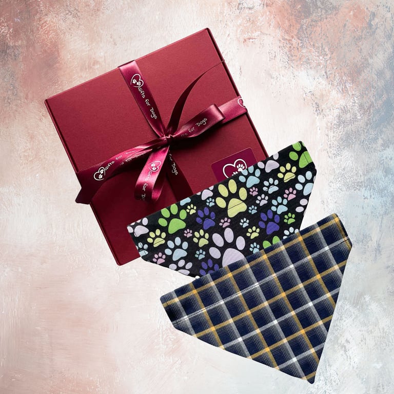 Dog Bandanas Set, Bandanas, Tartan-Paws Design-Medium Dog Bandanas. 2 Pack-TW07