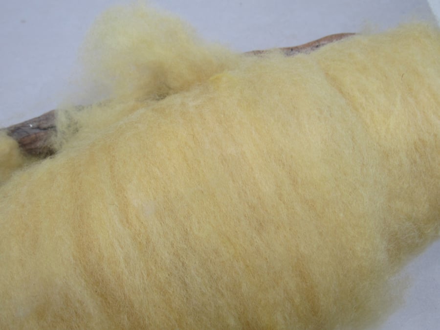 10g Naturally Dyed Weld Yellow Llanwenog Felting Wool