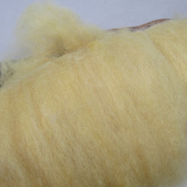 10g Naturally Dyed Weld Yellow Llanwenog Felting Wool