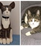 Cat Keepsakes  - Image 2