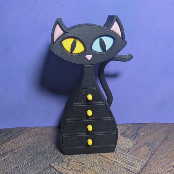 Black Cat Drawers Heterochromia