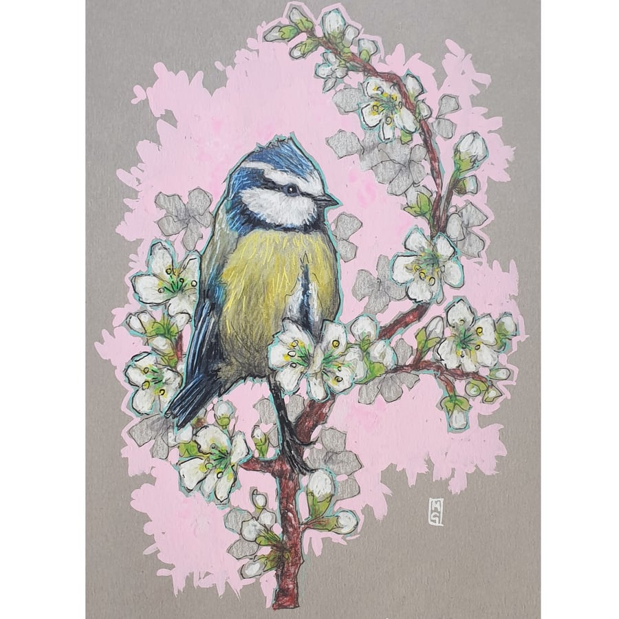 Blue Tit with Spring Blossom, original artwork, small drawing, bird art